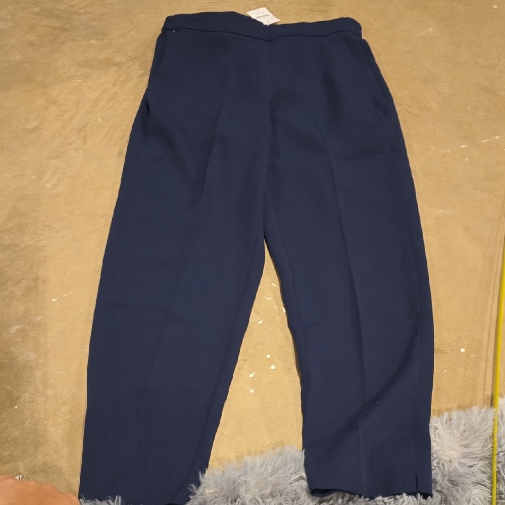 J. Crew Women's Deep Blue Dress Pants